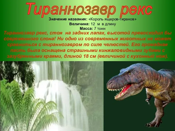 Тираннозавр рекс Значение названия: «Король ящеров-тиранов» Величина: 12 м в длину