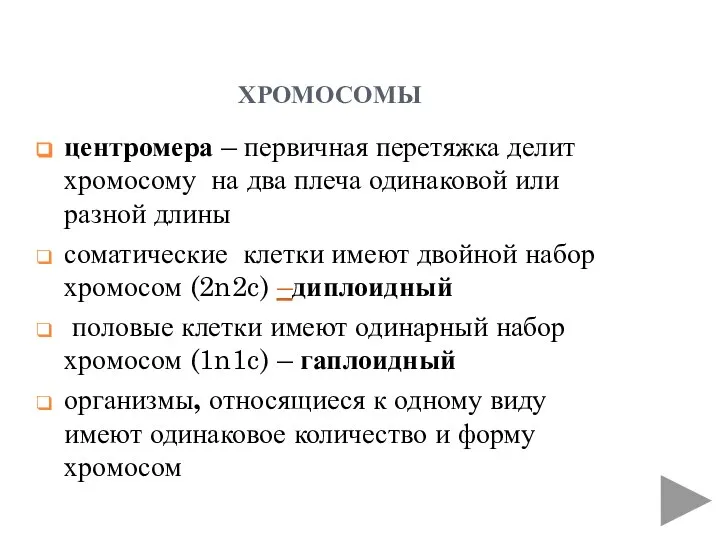 хромосомы центромера – первичная перетяжка делит хромосому на два плеча одинаковой