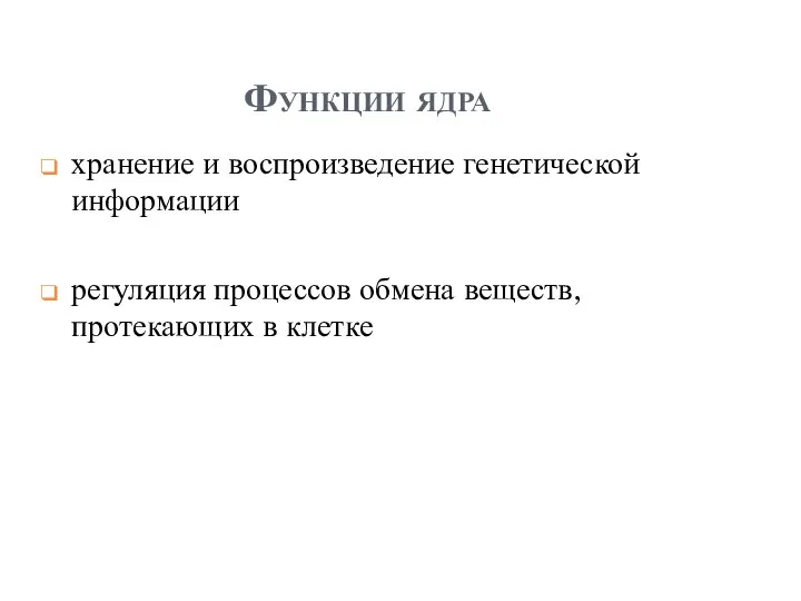 Функции ядра хранение и воспроизведение генетической информации регуляция процессов обмена веществ, протекающих в клетке