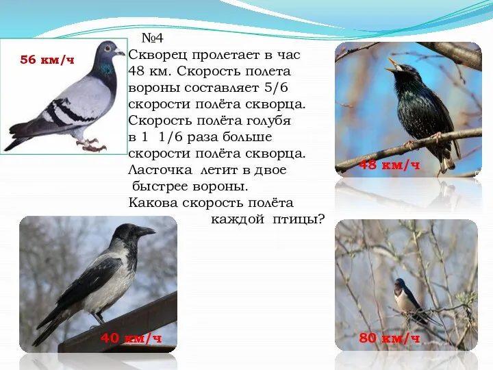 №4 Скворец пролетает в час 48 км. Скорость полета вороны составляет