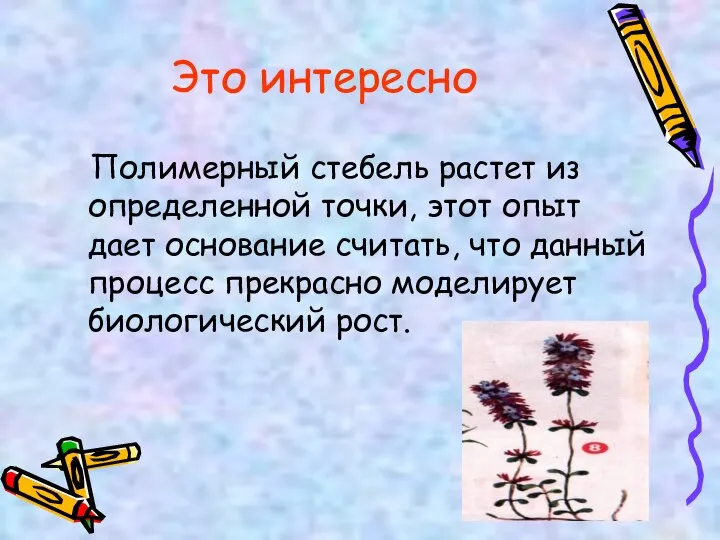 Это интересно Полимерный стебель растет из определенной точки, этот опыт дает