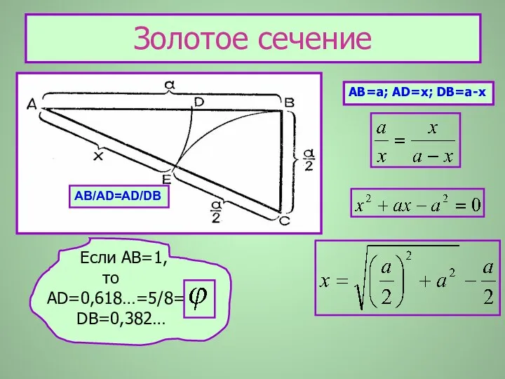 Золотое сечение Если АВ=1, то AD=0,618…=5/8= DB=0,382… АВ=а; АD=x; DB=a-x AB/AD=AD/DB