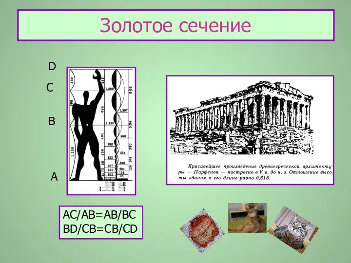 Золотое сечение D C B A AC/AB=AB/BC BD/CB=CB/CD