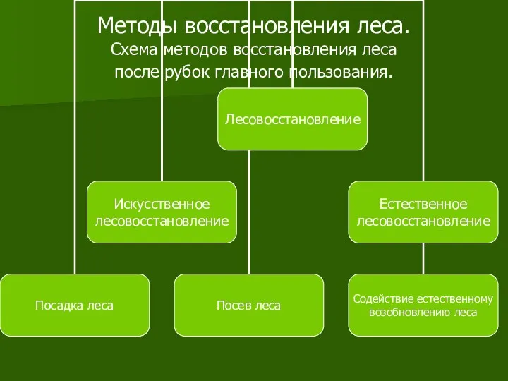 Методы восстановления леса. Схема методов восстановления леса после рубок главного пользования.