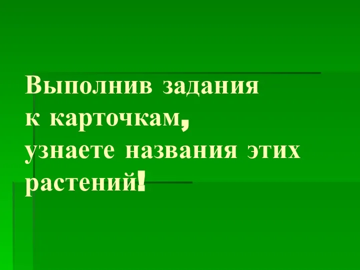 Выполнив задания к карточкам, узнаете названия этих растений!