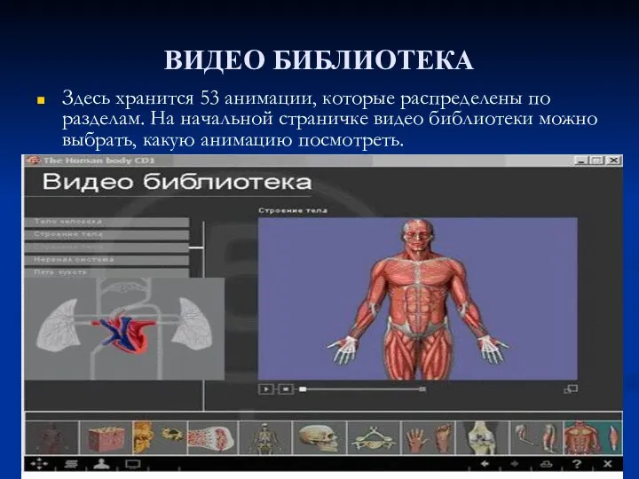 ВИДЕО БИБЛИОТЕКА Здесь хранится 53 анимации, которые распределены по разделам. На