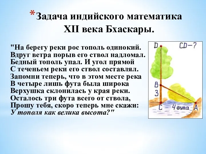 Задача индийского математика XII века Бхаскары. "На берегу реки рос тополь