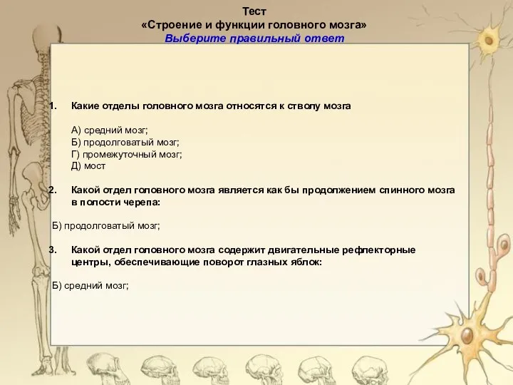 Работа по карточкам Тест «Строение и функции головного мозга» Выберите правильный