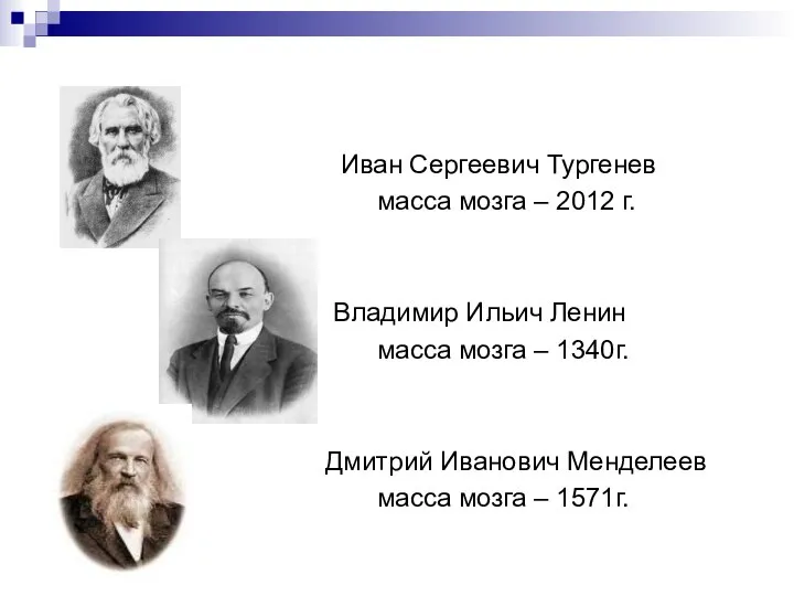 Иван Сергеевич Тургенев масса мозга – 2012 г. Владимир Ильич Ленин