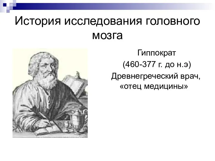 История исследования головного мозга Гиппократ (460-377 г. до н.э) Древнегреческий врач, «отец медицины»