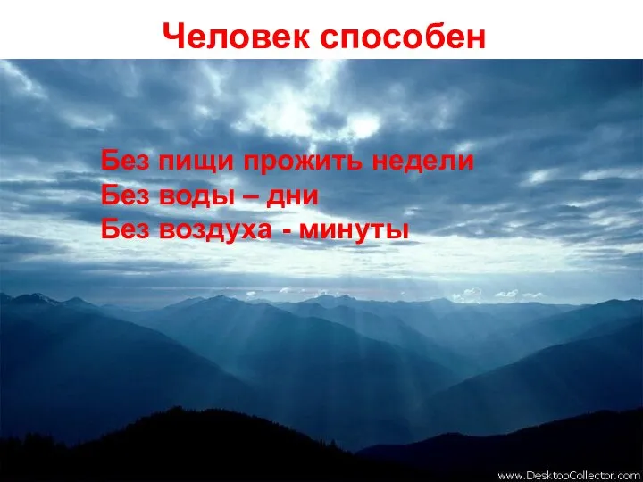 Человек способен Без пищи прожить недели Без воды – дни Без воздуха - минуты