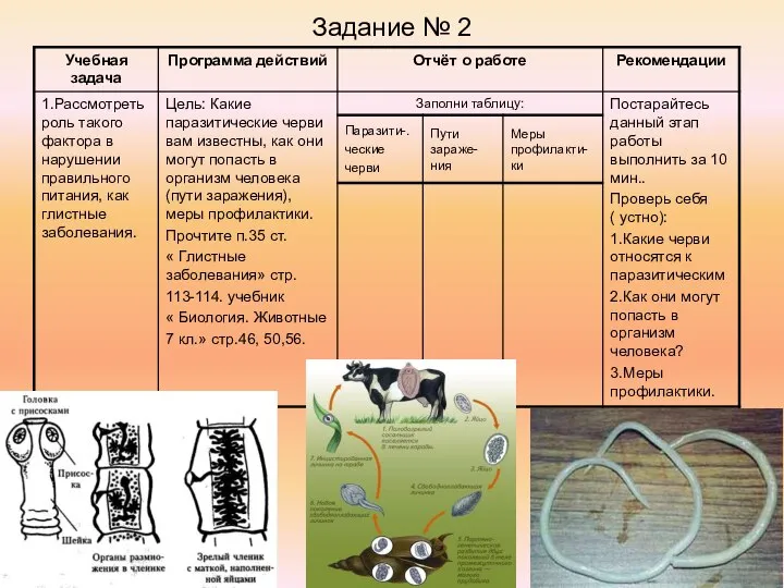 Задание № 2