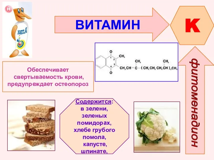 ВИТАМИН K Обеспечивает свертываемость крови, предупреждает остеопороз Содержится: в зелени, зеленых