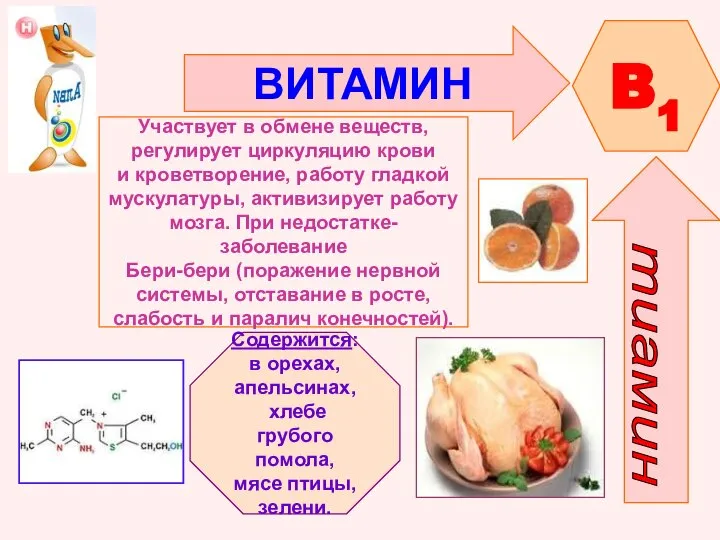 ВИТАМИН B1 Участвует в обмене веществ, регулирует циркуляцию крови и кроветворение,