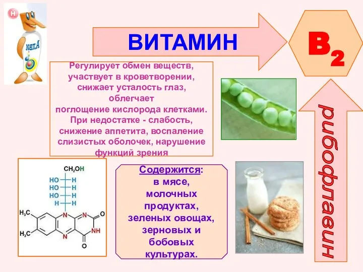 ВИТАМИН B2 рибофлавин Регулирует обмен веществ, участвует в кроветворении, снижает усталость