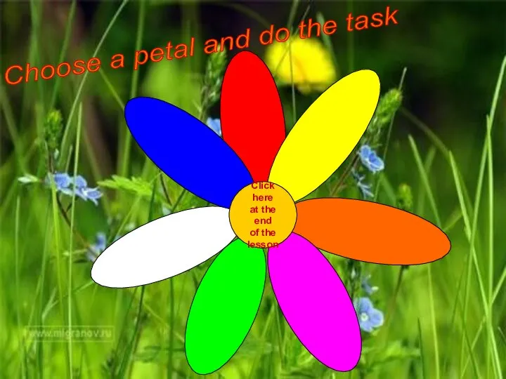 Click here at the end of the lesson Choose a petal and do the task