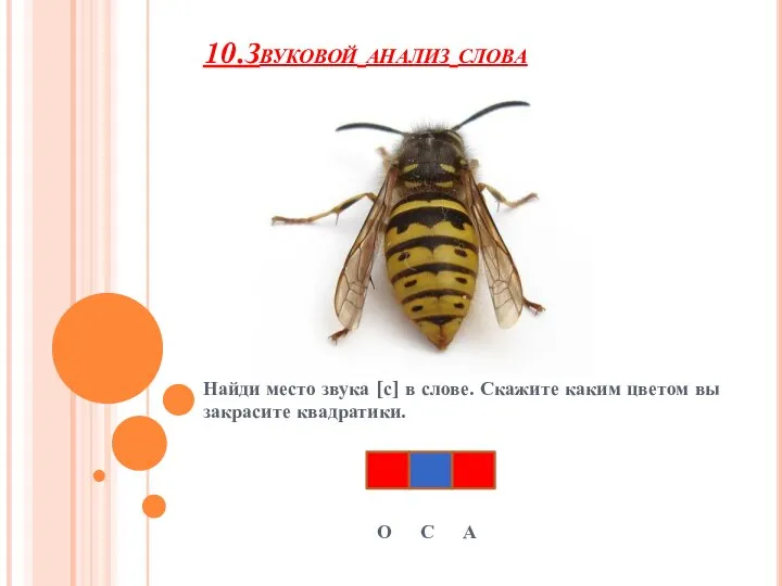 10.Звуковой анализ слова Найди место звука [с] в слове. Скажите каким