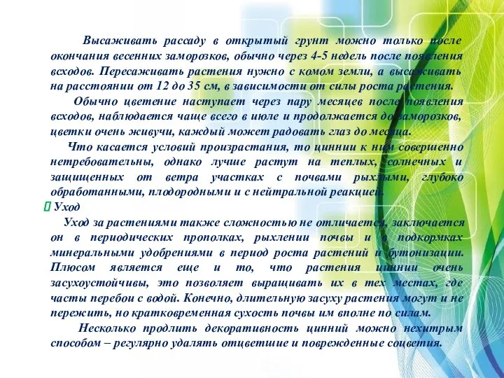 Высаживать рассаду в открытый грунт можно только после окончания весенних заморозков,