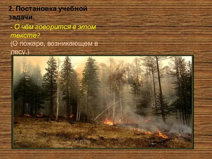 2. Постановка учебной задачи. - О чём говорится в этом тексте? (О пожаре, возникающем в лесу.)