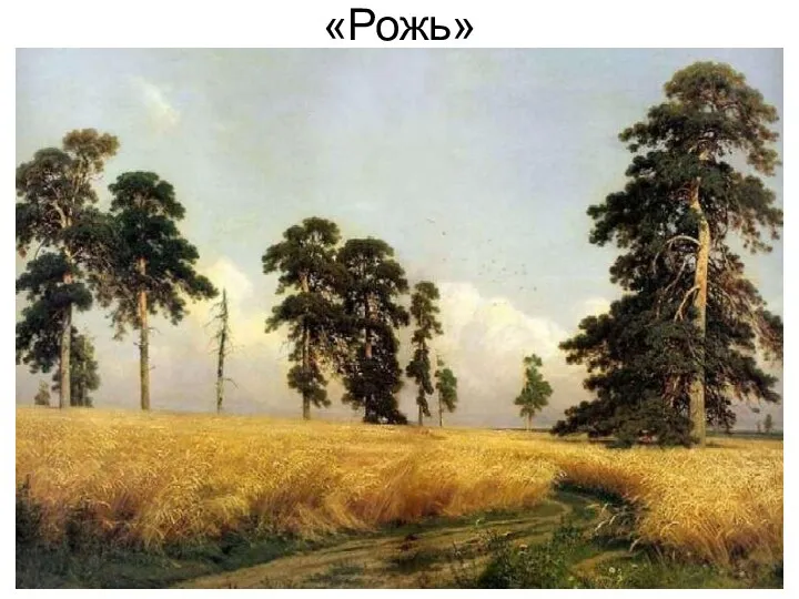 «Рожь»