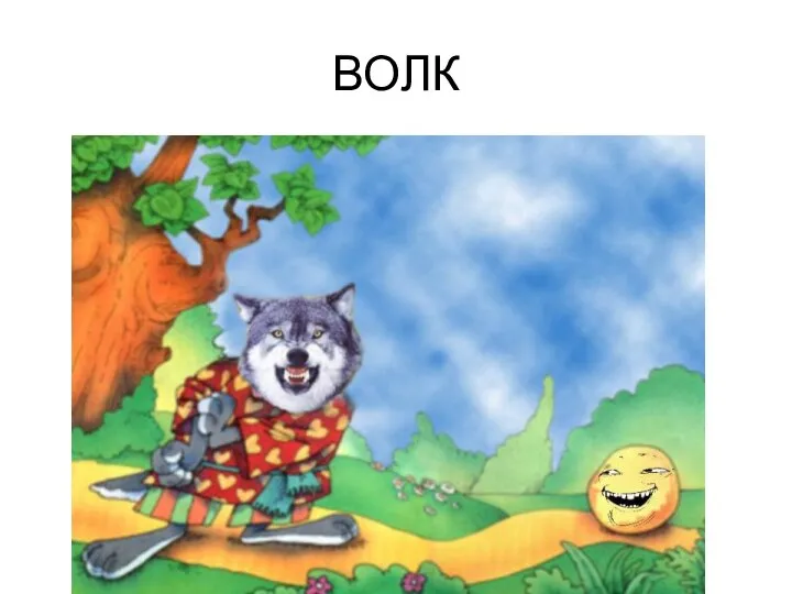 ВОЛК