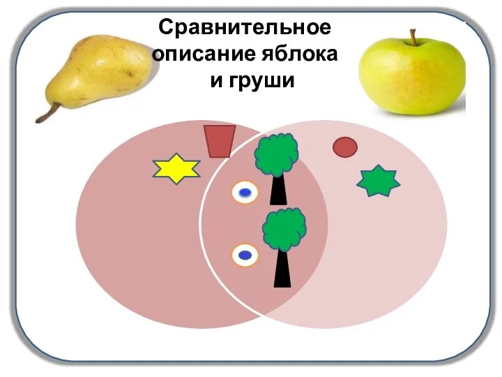 Сравнительное описание яблока и груши