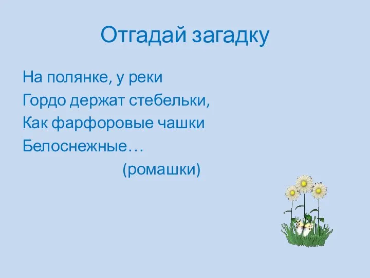 Отгадай загадку На полянке, у реки Гордо держат стебельки, Как фарфоровые чашки Белоснежные… (ромашки)