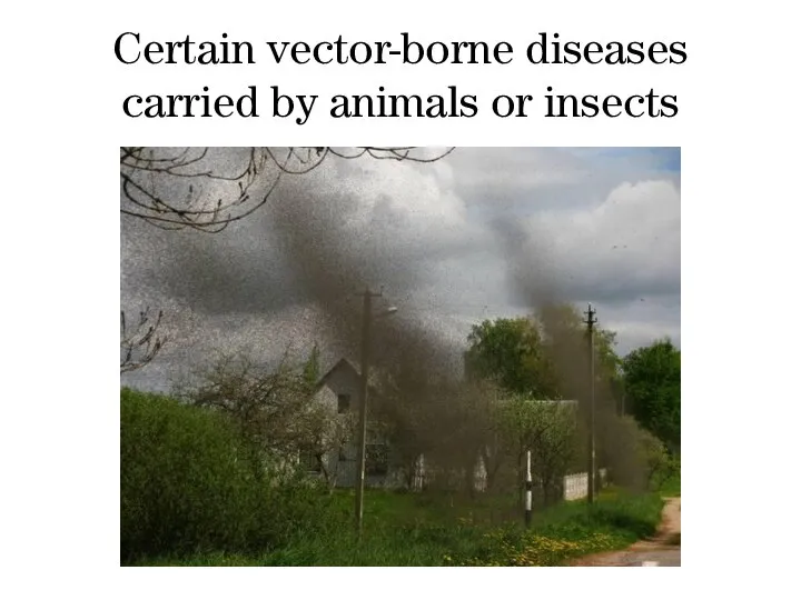 Certain vector-borne diseases carried by animals or insects