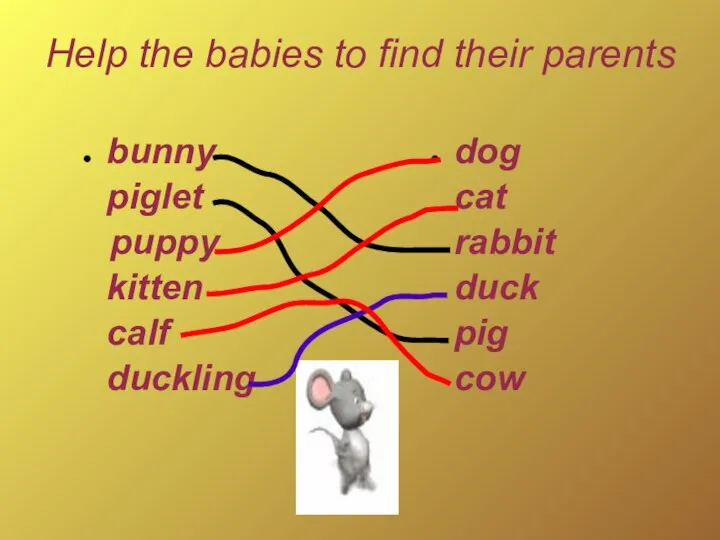 dog cat rabbit duck pig cow bunny piglet puppy kitten calf