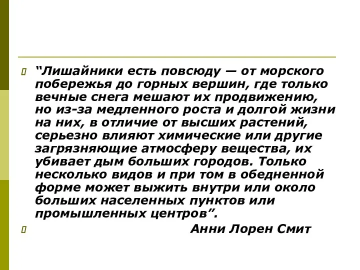 “Лишайники есть повсюду — от морского побережья до горных вершин, где