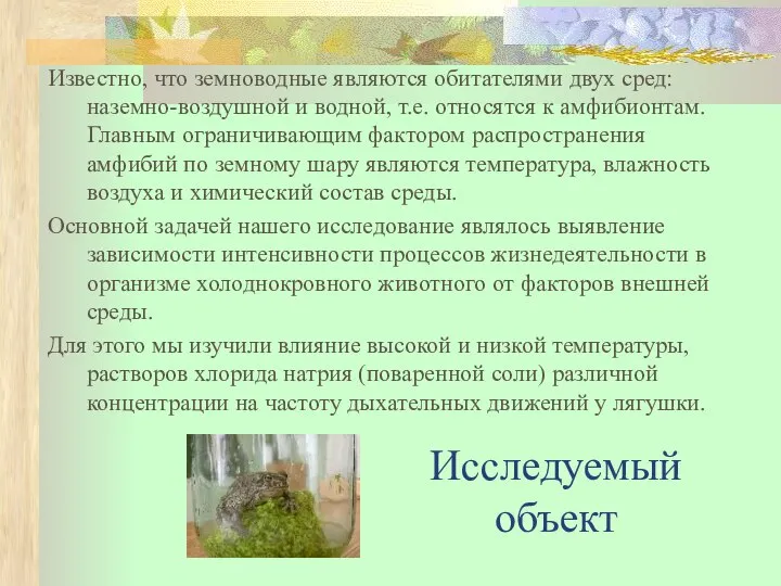 Известно, что земноводные являются обитателями двух сред: наземно-воздушной и водной, т.е.