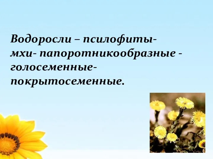 Водоросли – псилофиты- мхи- папоротникообразные - голосеменные- покрытосеменные.