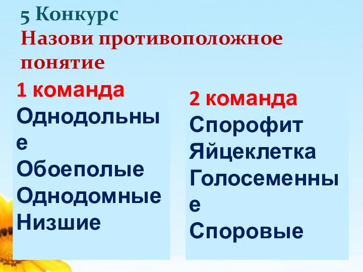 5 Конкурс Назови противоположное понятие 2 команда Спорофит Яйцеклетка Голосеменные Споровые