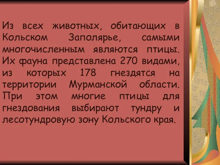 Из всех животных, обитающих в Кольском Заполярье, самыми многочисленным являются птицы.