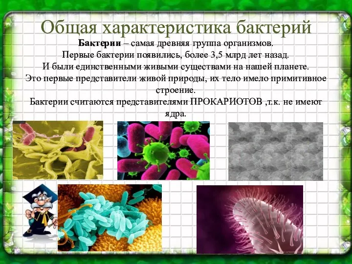 Общая характеристика бактерий Бактерии – самая древняя группа организмов. Первые бактерии