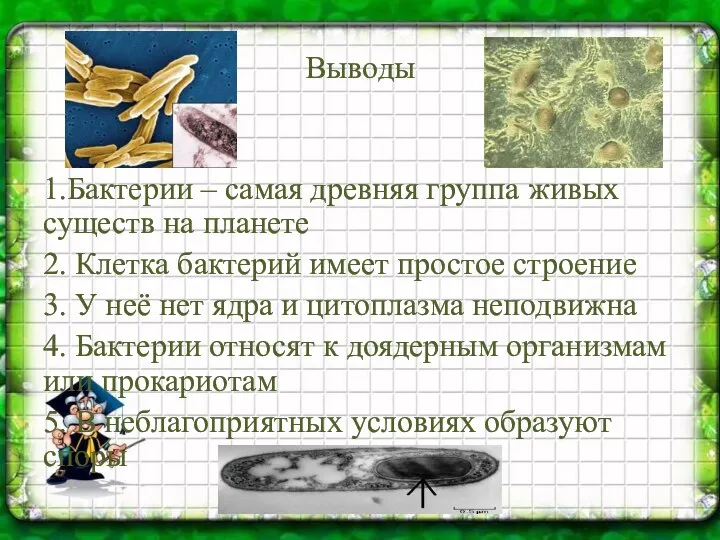 Выводы 1.Бактерии – самая древняя группа живых существ на планете 2.