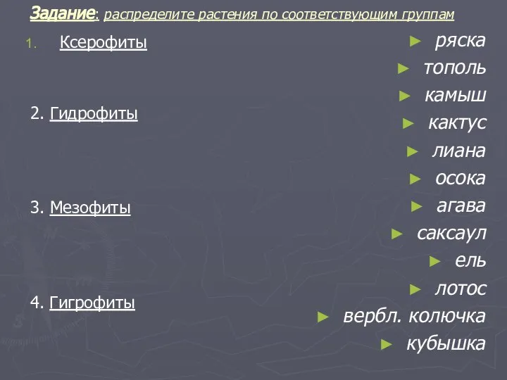 Задание: распределите растения по соответствующим группам Ксерофиты 2. Гидрофиты 3. Мезофиты