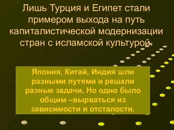 Лишь Турция и Египет стали примером выхода на путь капиталистической модернизации