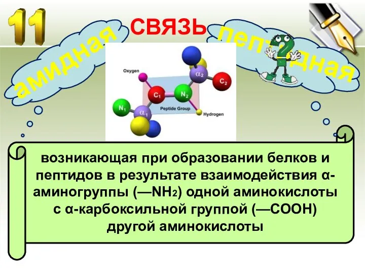 возникающая при образовании белков и пептидов в результате взаимодействия α-аминогруппы (—NH2)