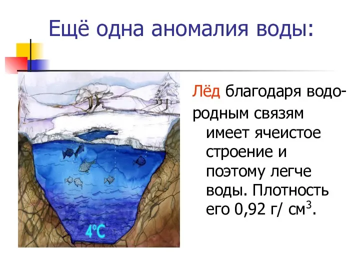 Ещё одна аномалия воды: Лёд благодаря водо- родным связям имеет ячеистое