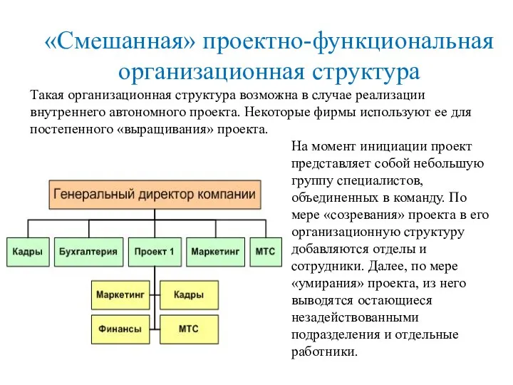 «Смешанная» проектно-функциональная организационная структура Такая организационная структура возможна в случае реализации