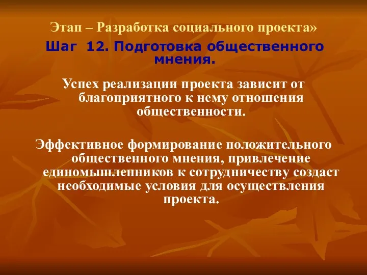 Этап – Разработка социального проекта» Шаг 12. Подготовка общественного мнения. Успех