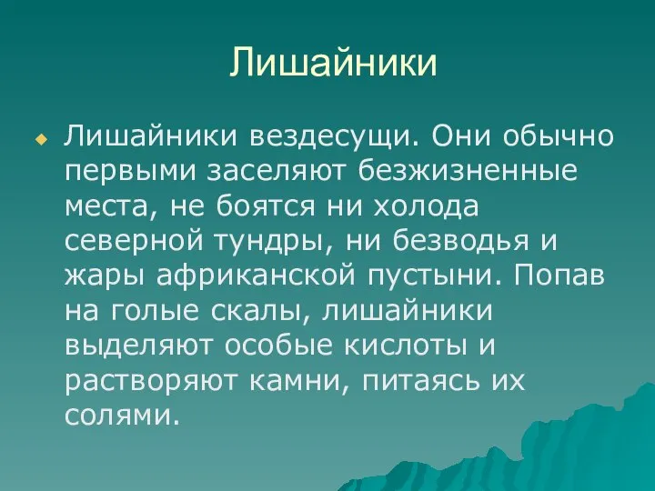 Лишайники Лишайники вездесущи. Они обычно первыми заселяют безжизненные места, не боятся