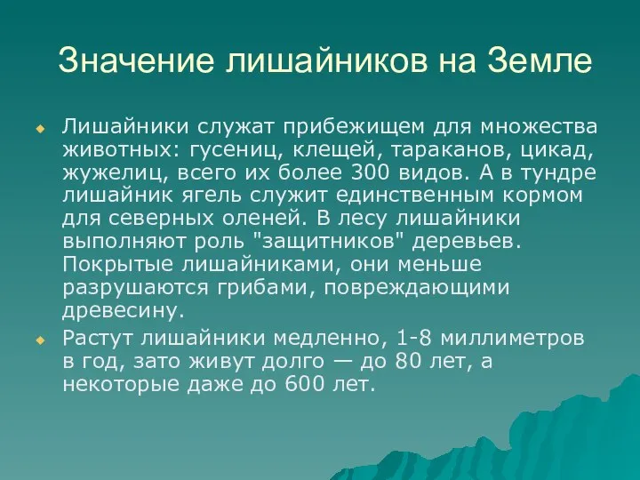 Значение лишайников на Земле Лишайники служат прибежищем для множества животных: гусениц,