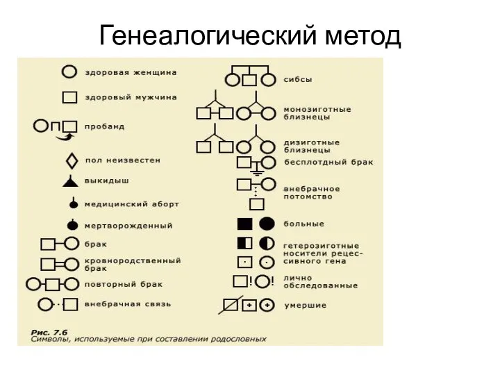 Генеалогический метод