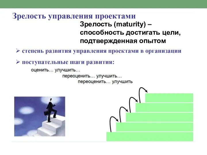 Зрелость (maturity) – способность достигать цели, подтвержденная опытом