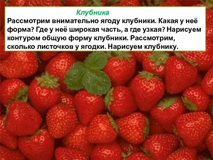 Клубника Рассмотрим внимательно ягоду клубники. Какая у неё форма? Где у