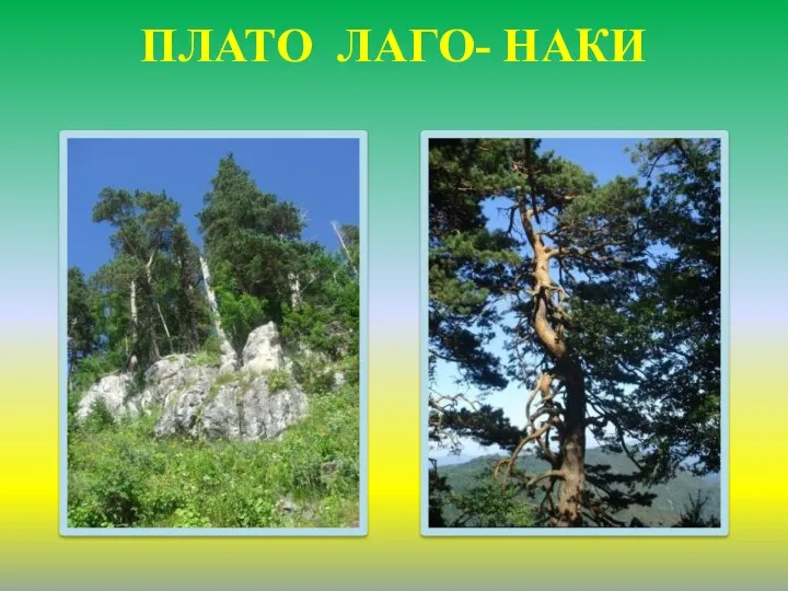 ПЛАТО ЛАГО- НАКИ