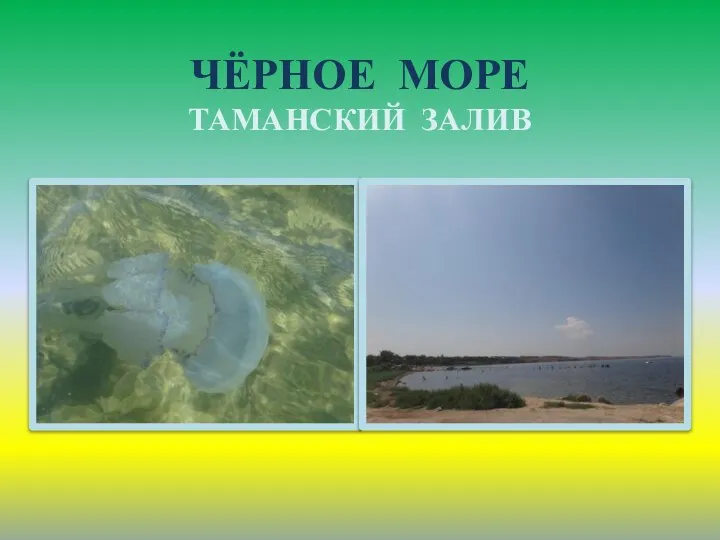 ЧЁРНОЕ МОРЕ ТАМАНСКИЙ ЗАЛИВ