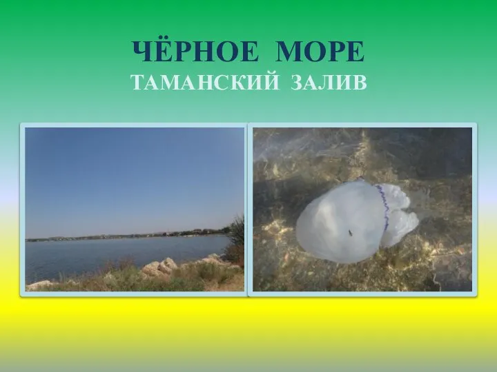 ЧЁРНОЕ МОРЕ ТАМАНСКИЙ ЗАЛИВ